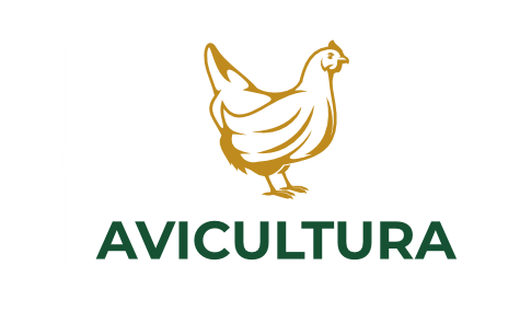 avicultura